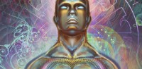 mugwort-ascend