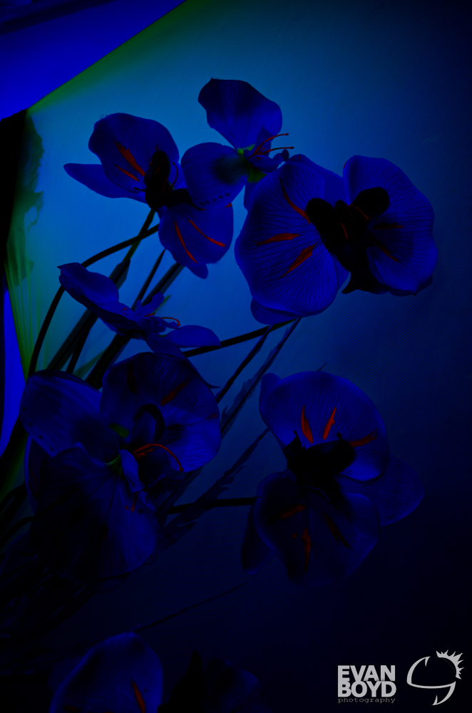 20120420-cosmic-caravan-sr-eb-47