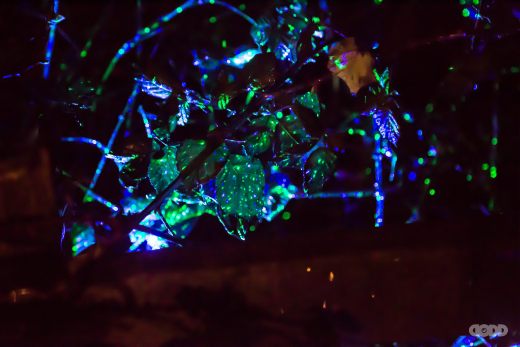 20170204 – Neon Time Machine – 36